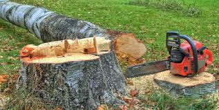 Best Commercial Tree Services  in Seven Corners, VA