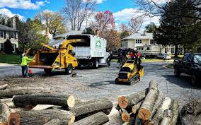 Best Landscape Design and Installation  in Seven Corners, VA