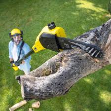 Best Artificial Turf Installation  in Seven Corners, VA