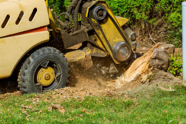 Best Aeration Services  in Seven Corners, VA