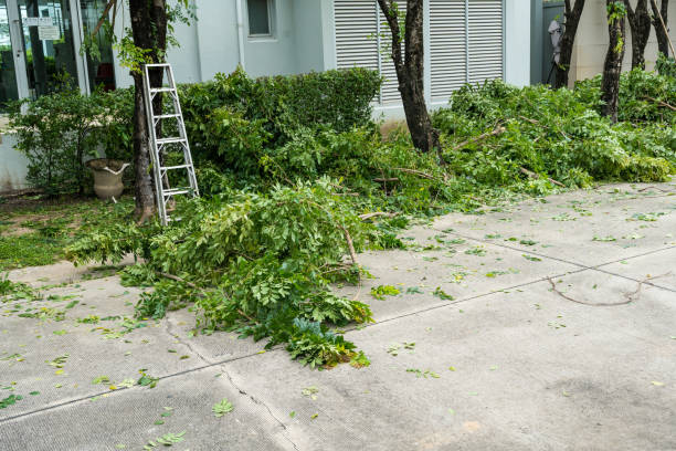 Best Hazardous Tree Removal  in Seven Corners, VA