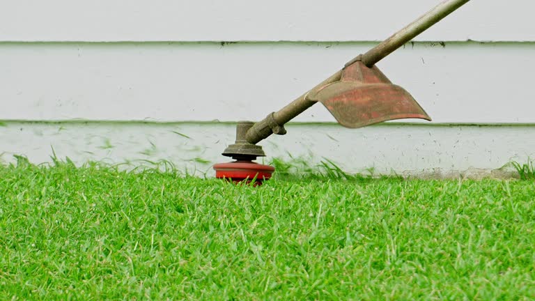 Best Lawn Maintenance Plans  in Seven Corners, VA