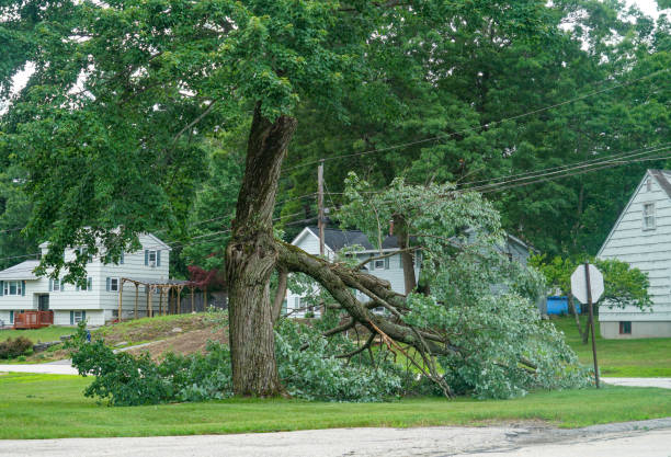 Best Utility Line Clearance  in Seven Corners, VA